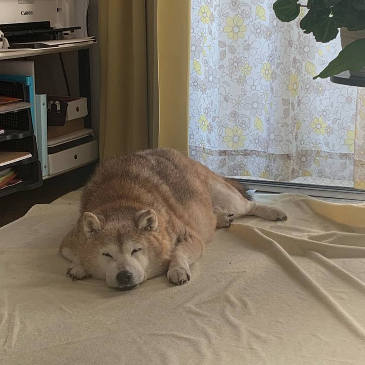 95268fa7 281d 4ca9 b8d9 bdd38a7b82d2 1674988137098