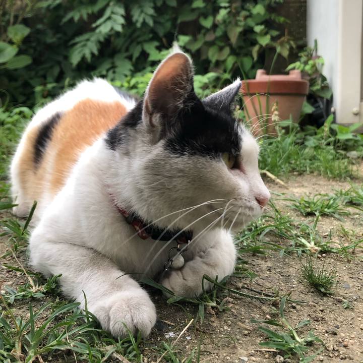 9526c959 ed25 4b9d b49f 12253e4361e0 1625565918103