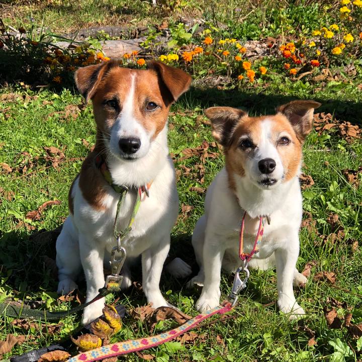 9526dc6d 42b6 461a b4a7 0024e7339b0b 1540906157134