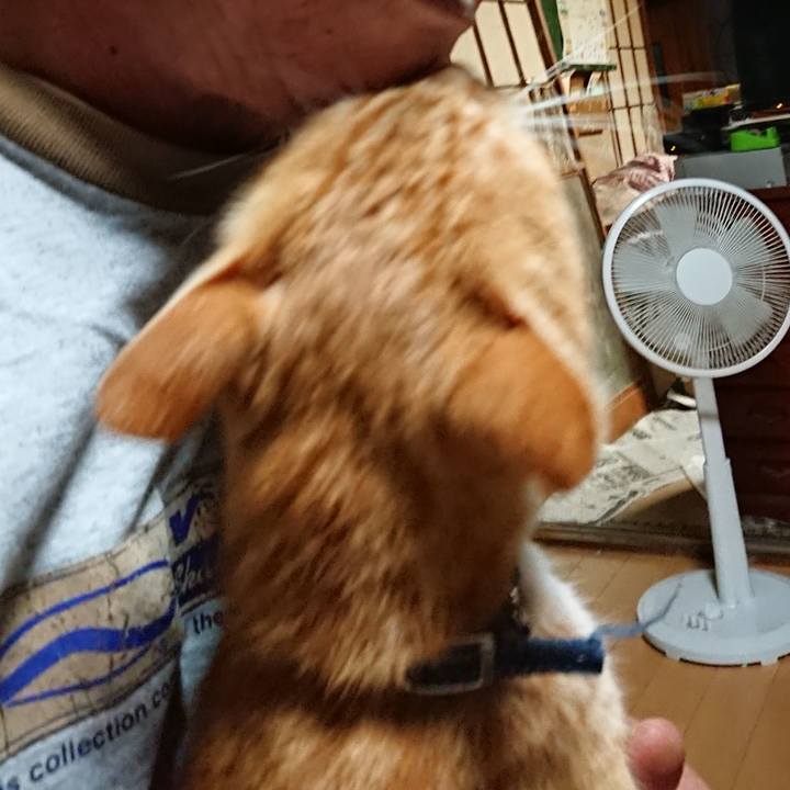 95271c5a 3644 4897 a65c 01ada675c360 1598910701795