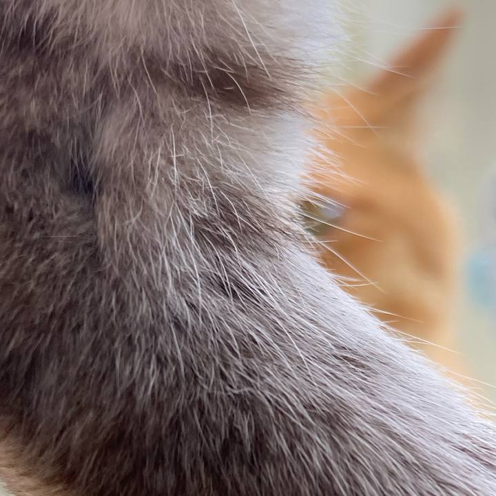 95274874 ae98 4470 b435 121794c55a11 1756944531705