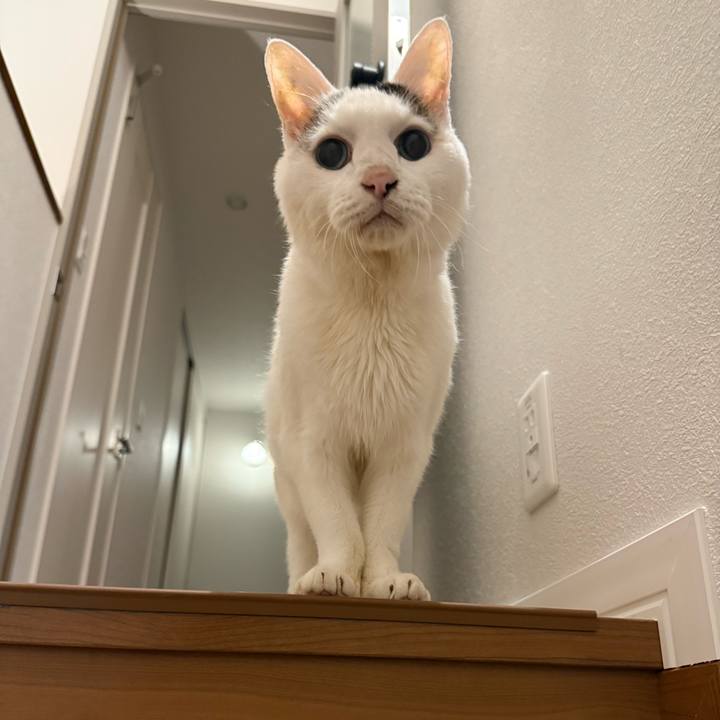 95275b1b 8902 45c2 8bc8 eadf5e33ba6a 1763629726004