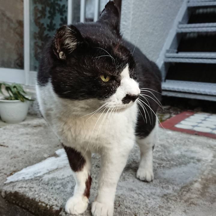 95276773 dc93 4b7a bf0c 0b7d0b76d380 1644653105112