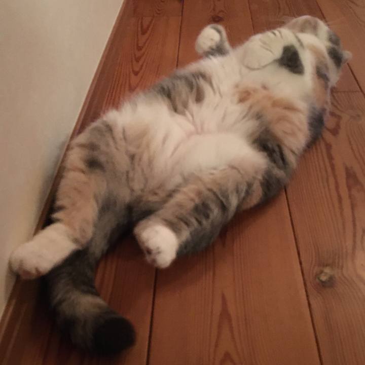 9527866e 1ad6 4c41 a001 cf085cfd466b 1579779315105