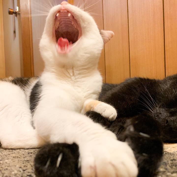 9527c869 87d3 4ae6 aee0 35d764e3c226 1567044201635