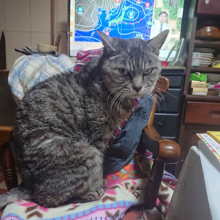 952866c9 e5aa 45e4 a3f5 04f2ff44e2a4 1572311303604