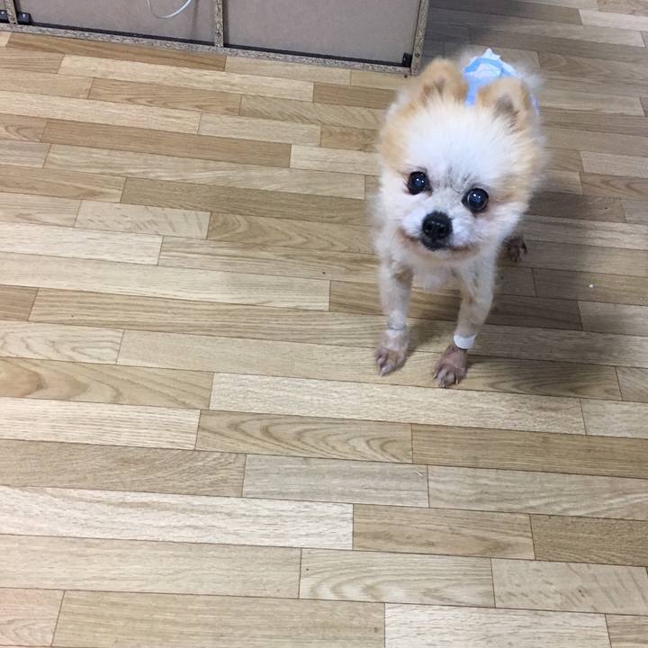 95286acd ce7d 432d a15d f9092f0da034 1527455816569