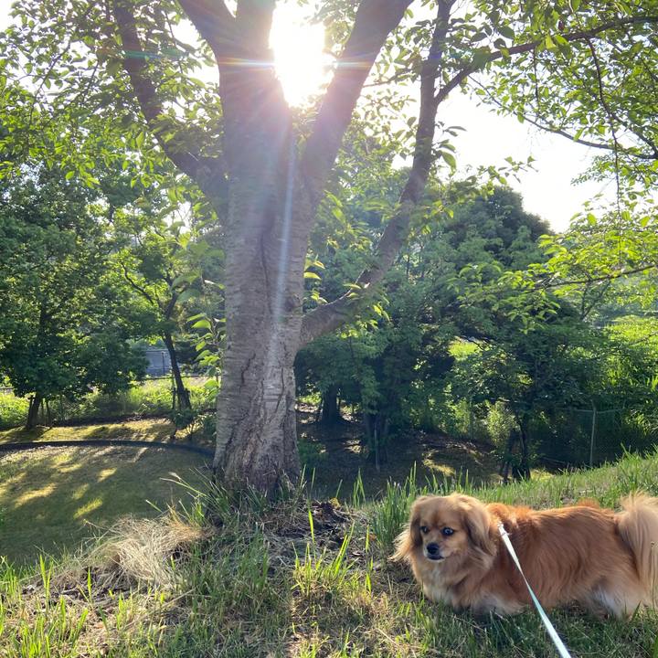 95286cf8 4f74 4d9d a9e8 1ad042a332b4 1591738799108