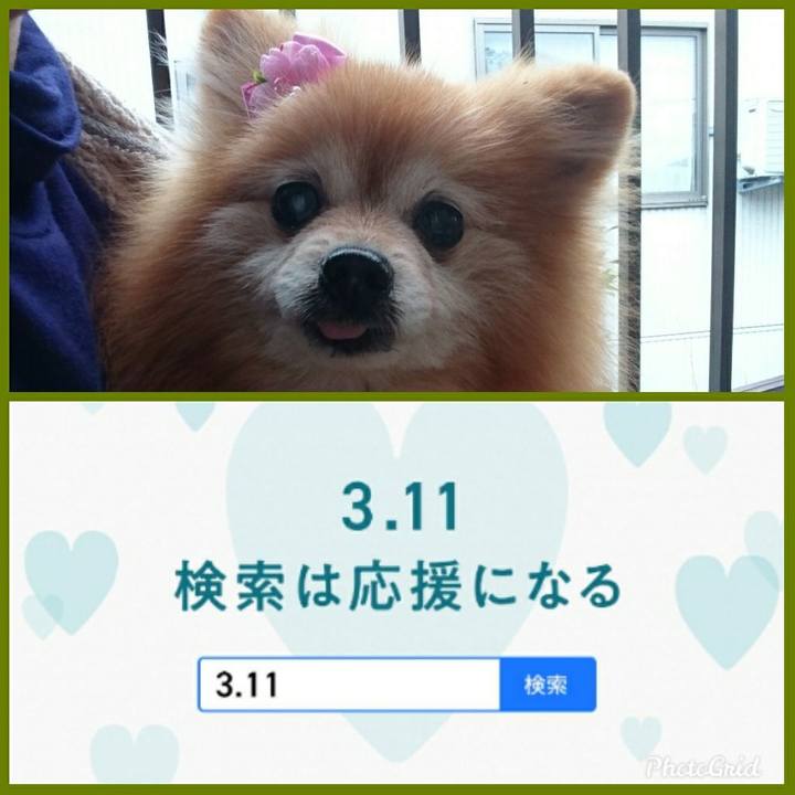 95288114 9ffa 409e a03a 582c67fec1e1 1583891981120