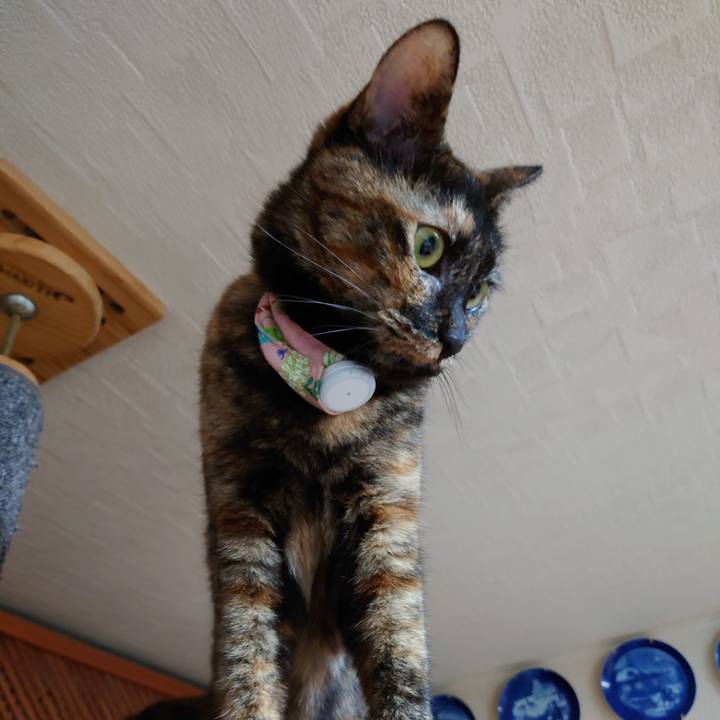 9528878a da06 40f1 a4ba c7ecc3d68c92 1625754715815