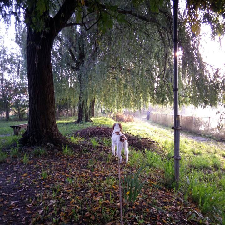 95289542 a3c1 4a51 9d5b 1752dd0c43c1 1510490571166