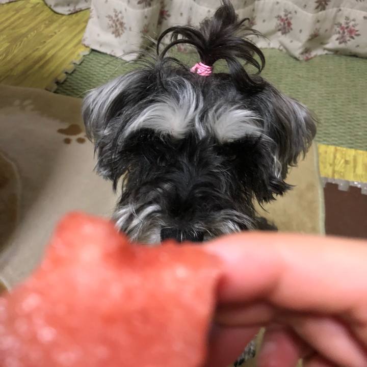 9528d9de 8160 4c67 8a9c a9121babadde 1528636912671