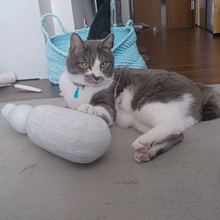 952918ad 82e2 488a ac9d 8cb99ce0a7a4 1679291397108