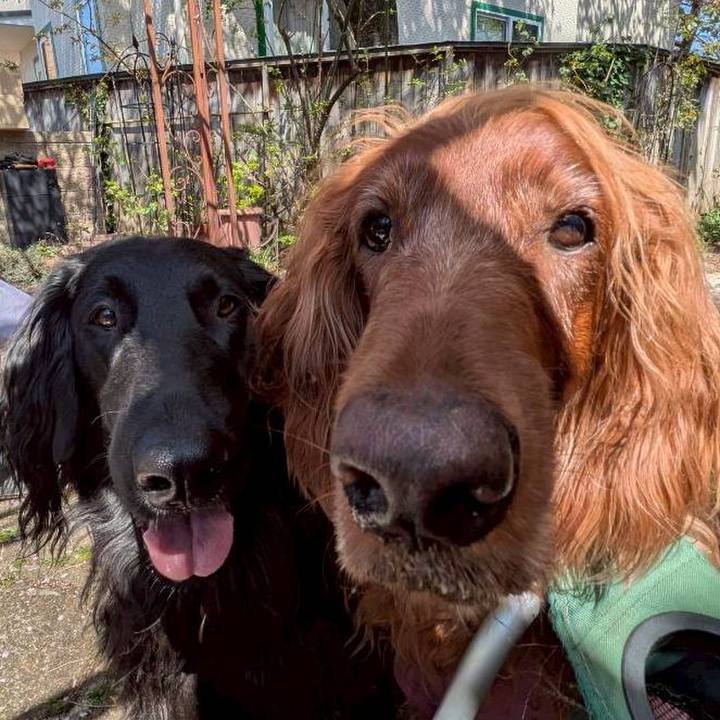 9529bb00 023f 4609 ab13 2e793d5a7602 1776600034721