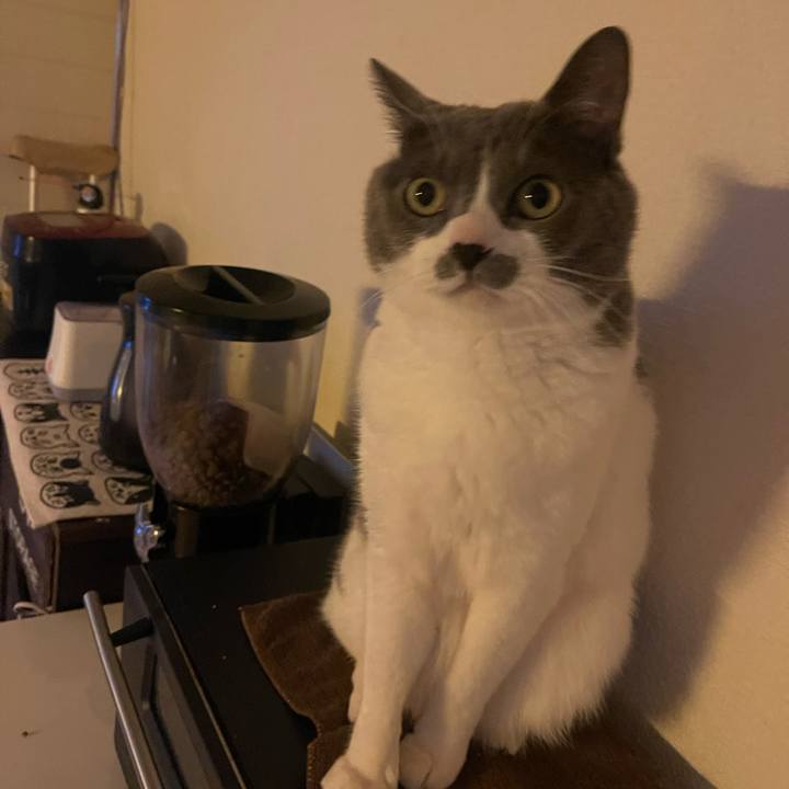 9529d631 d63c 49b4 833d c71747220fff 1739831933062