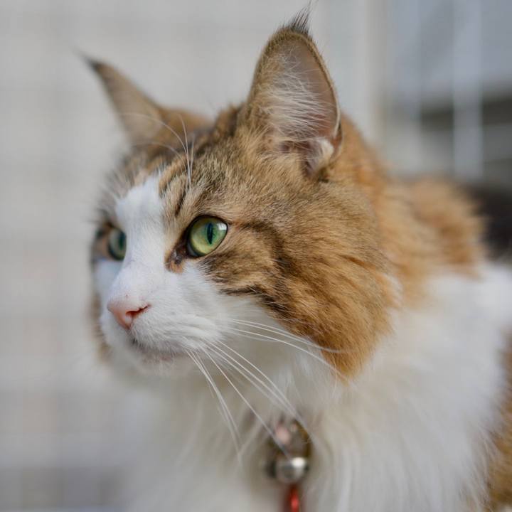 952a044b c52b 4034 8f11 4419b2045dcc 1702032423281