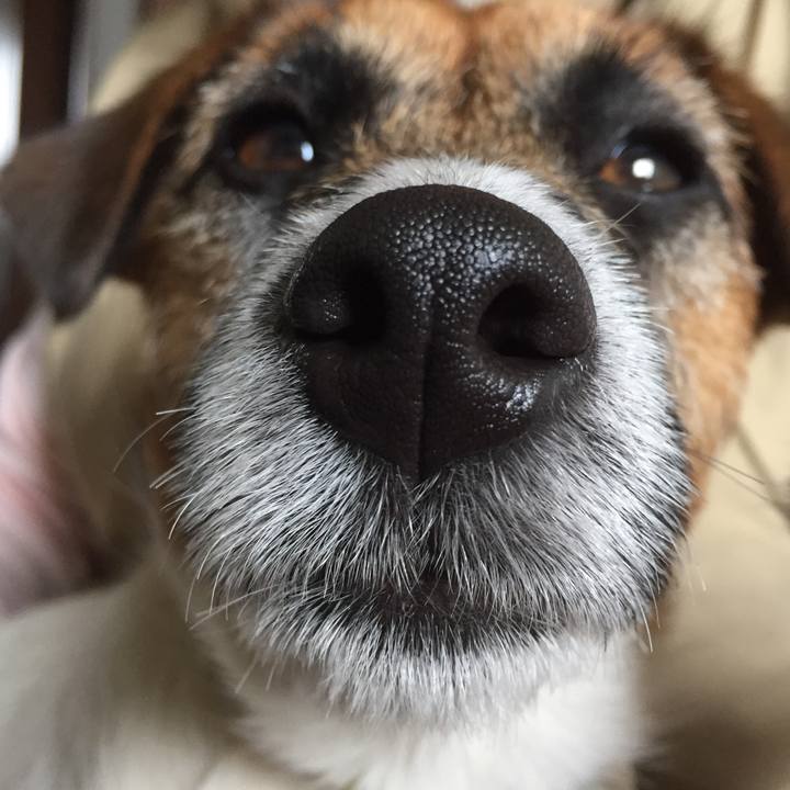 952a30ae 95fe 4f89 aea5 3b54997121a7 1523760663762