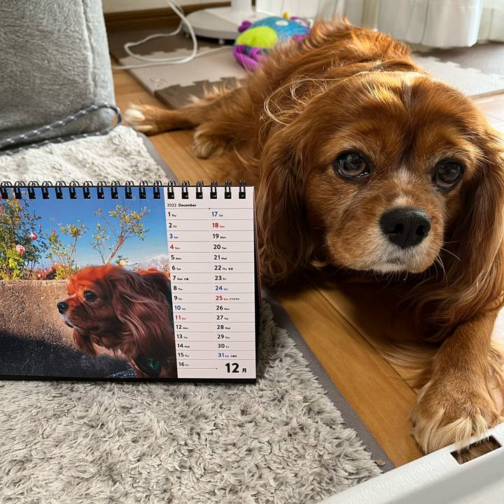 952a41bb 17a2 4b7d a098 a412ea0de76e 1669847692665