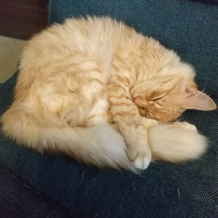 952a6c0d 71fb 47a9 8a8a 629f6306632e 1617865234169