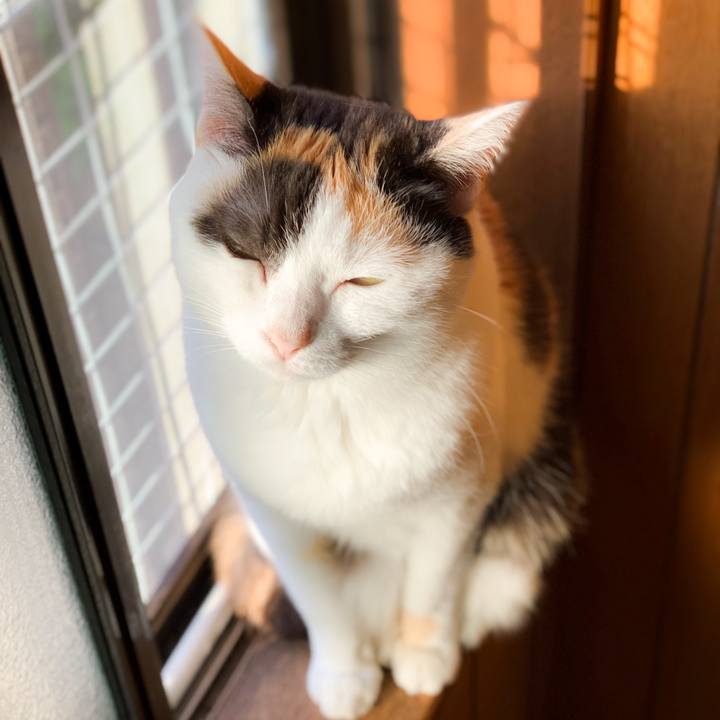 952ab187 2360 4394 ac15 21b4aa23cd1e 1593657025193