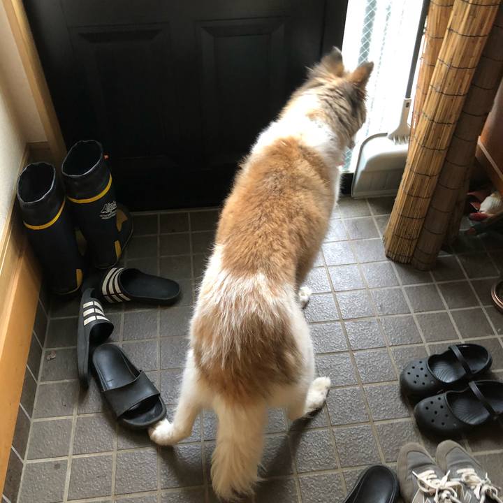 952ad2d5 5c6c 4f17 98af 90b7e201254c 1531438051777