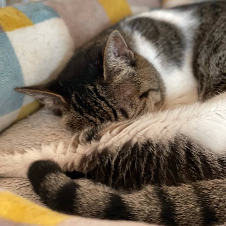 952af242 b1ce 4dc5 a7d4 3c3ebddbd972 1631496676646