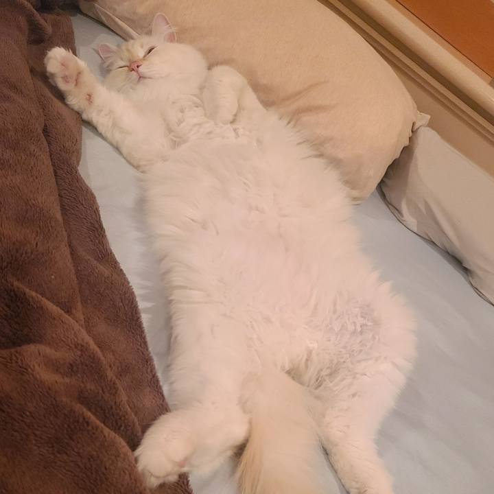 952b0091 4bef 4991 a917 cea556ef5c11 1683096788085