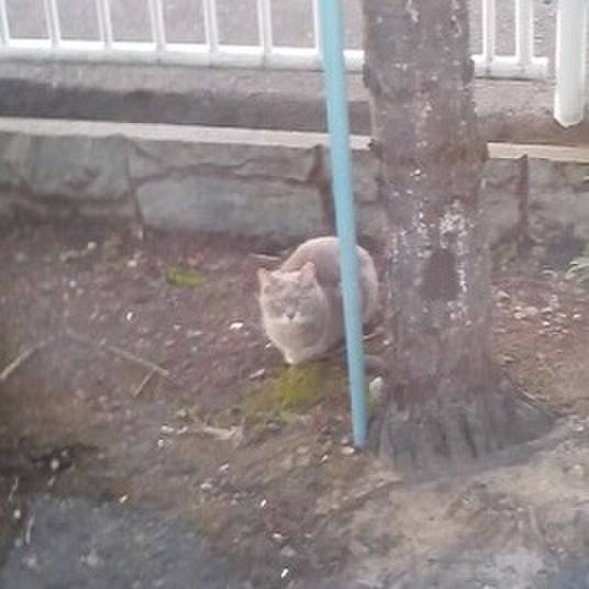 952b2cb1 06ec 4de4 8806 6590405c9d9c 1512388718252