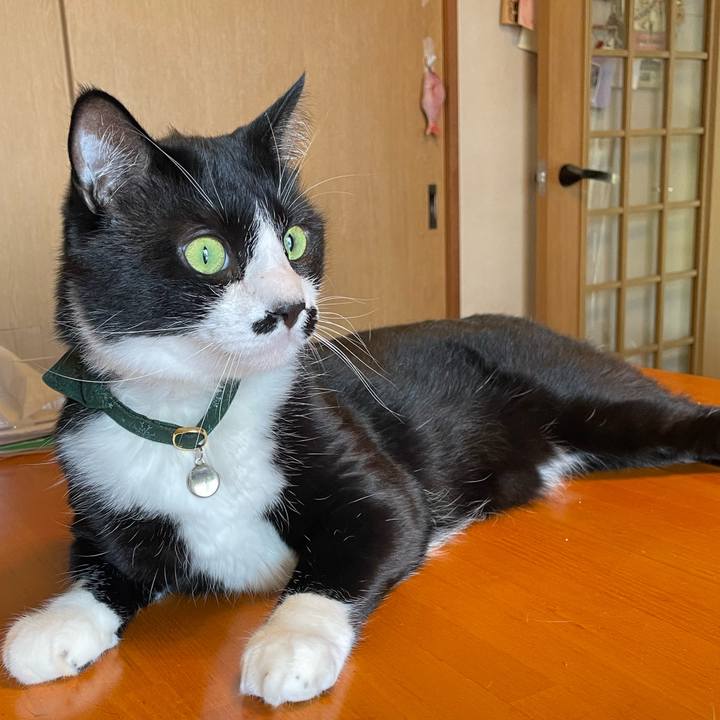 952b3528 bd11 4351 abbf 2c1233a04a20 1716947908764