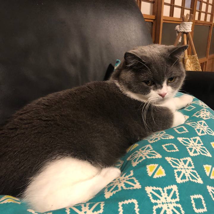 952b74af 70eb 4b8c ba37 abbe8c41c578 1565189855466