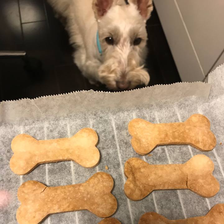 952b8096 6e8f 47a2 89ce 50b7774fc80b 1554304936973