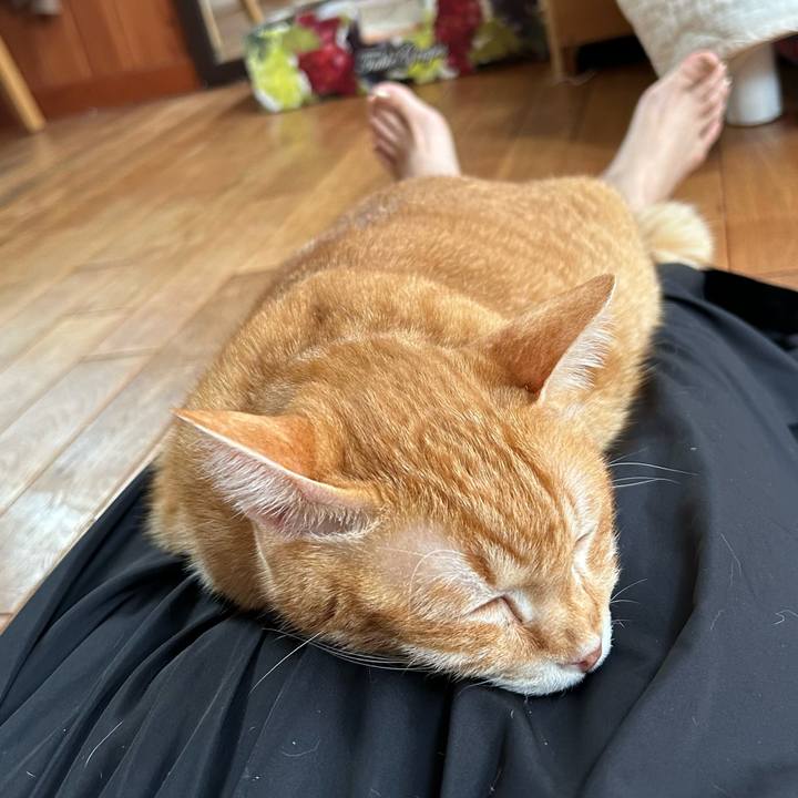 952b9306 2569 4d28 b934 27e0811798c6 1683268911374