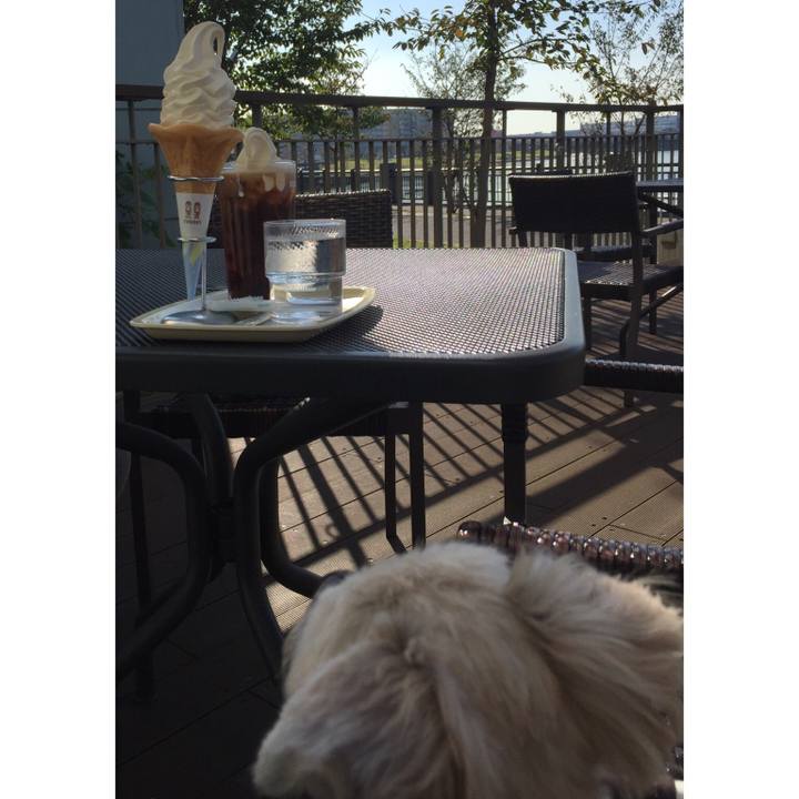 952b984b 2086 4cdf a85e 0cb971c0eb5c 1540796994051