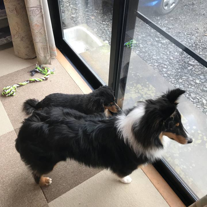 952baf75 5379 4c42 a72c eed1977f505f 1523052541122