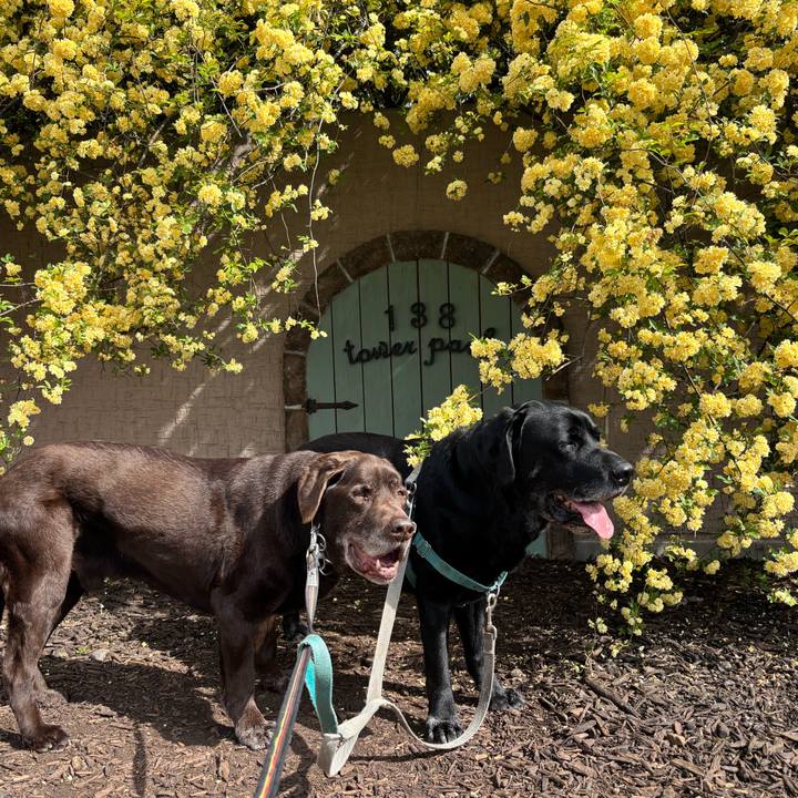 952bdf5f 4285 4c76 8269 d4e1123a3df0 1776516161624