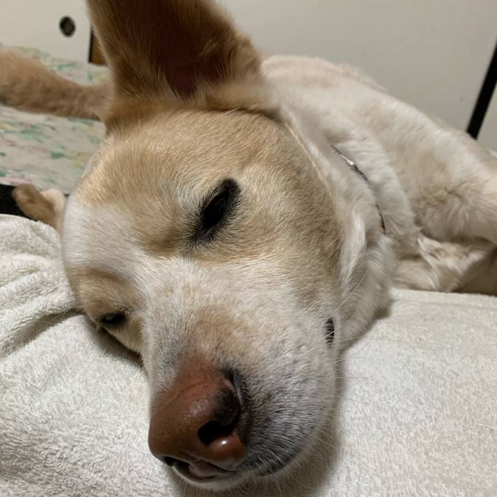 952be4b8 d76a 41e6 8064 9f31e74c2ee1 1579967691189