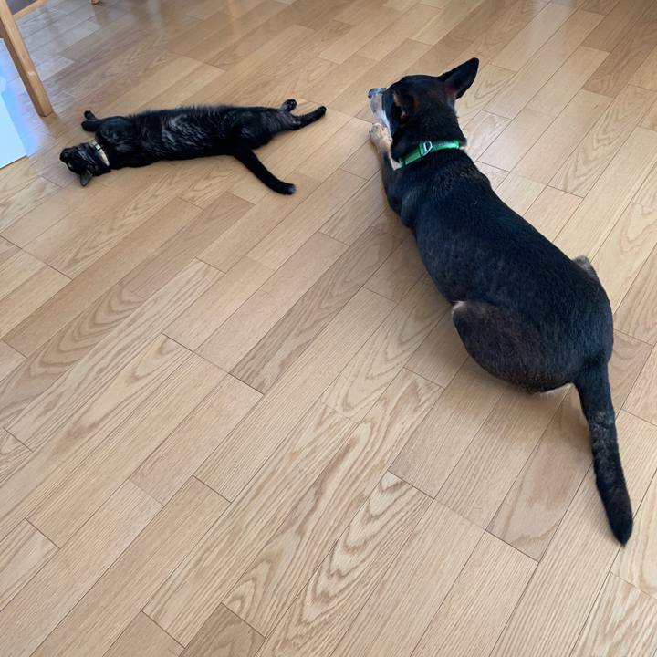 952be528 c2c8 4f3c a81b c74c3fea921d 1568178990380