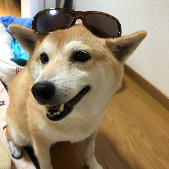 952bf2ee 045b 4590 9a86 2d986ab537c7 1565331224485