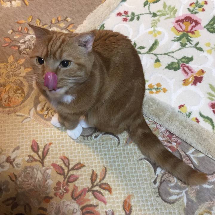 952c38ff 8f6e 481f 9b95 bd3da6c30681 1555344719254