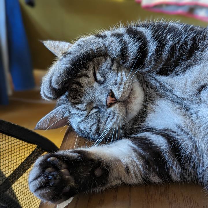 952c5141 7aa8 4b46 b92e 86964b2f9e87 1694658545621