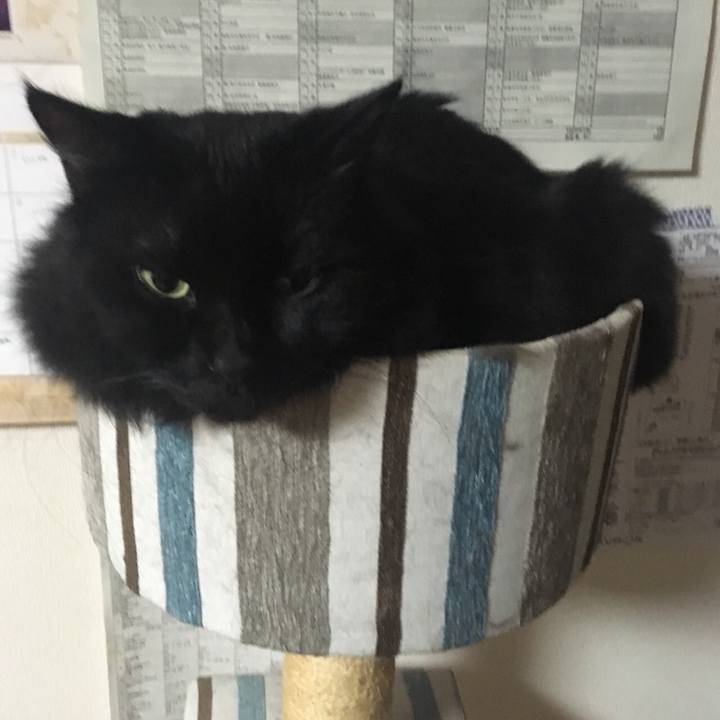 952c5bd3 fb57 4920 aee9 504b44462a25 1537046050594