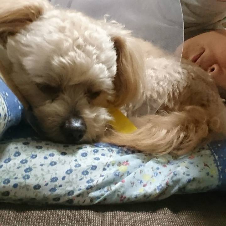 952c6c22 6b7a 4aa7 90ec 87c29719a673 1561202398094