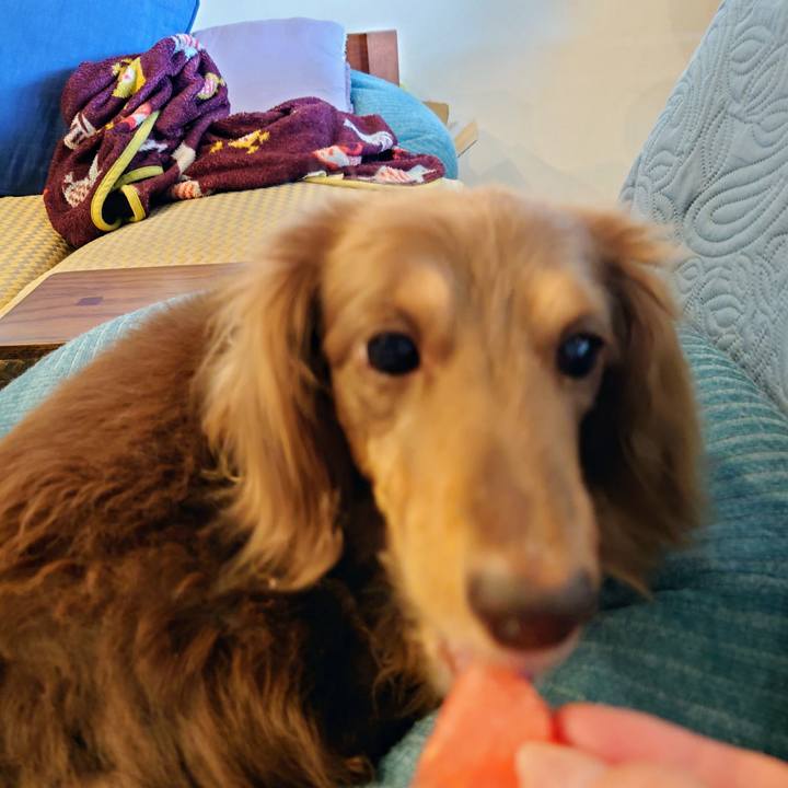 952c777c 8656 40a7 be60 eabcc8f1ab94 1718869795848