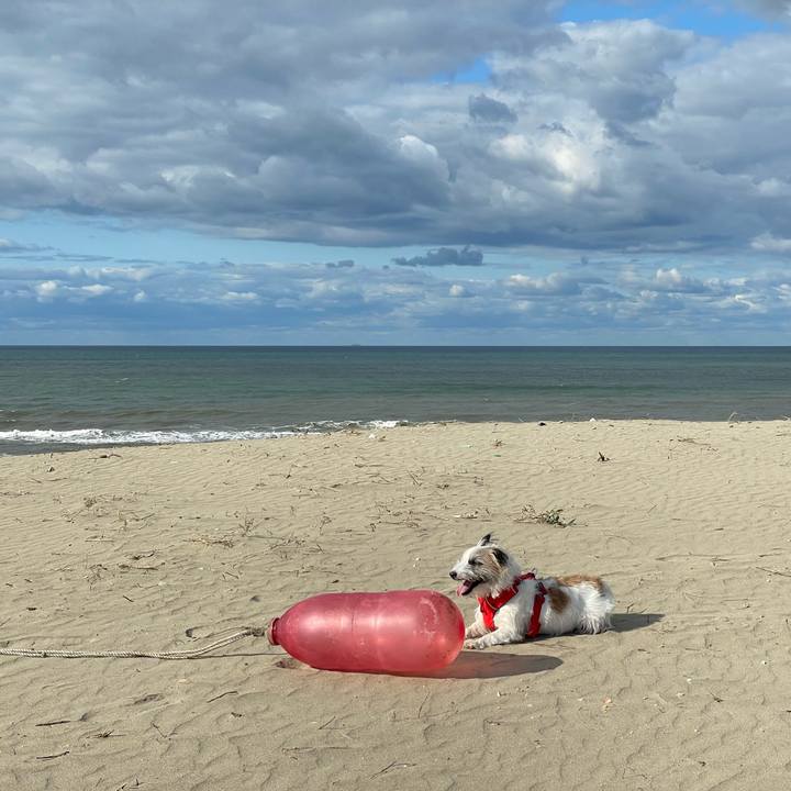 952ca52d 2ba6 4056 8d4f 29284aa7e153 1666253716339