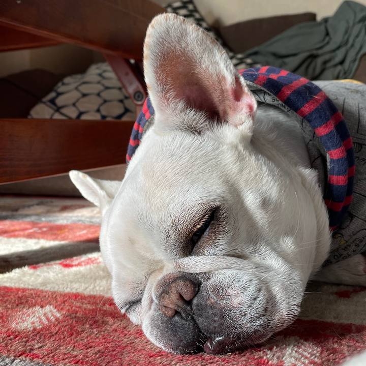 952caed3 bcee 4368 b460 39f0637597b2 1737248995388