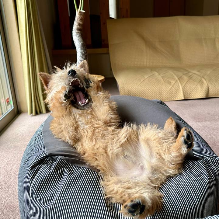 952cbd39 6a33 4c0e 9493 ceea5cf8b508 1709861216325