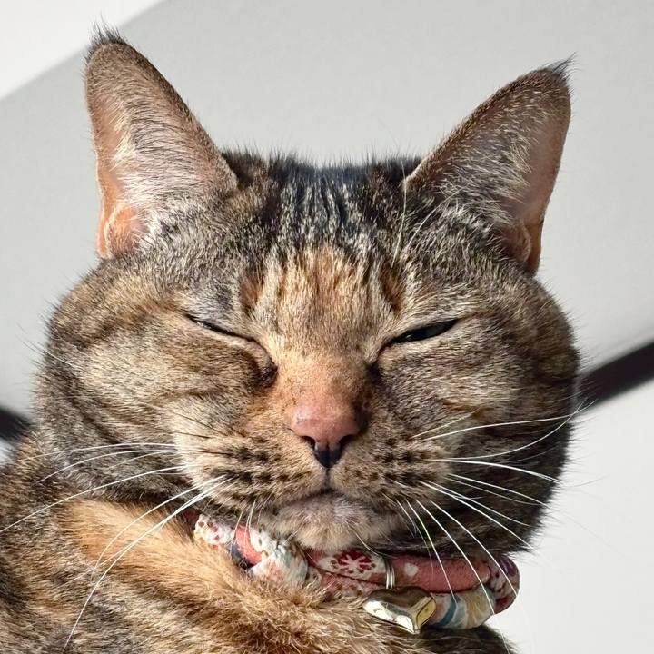 952cca70 0511 4936 8bb9 9259e267ea7e 1744441171680