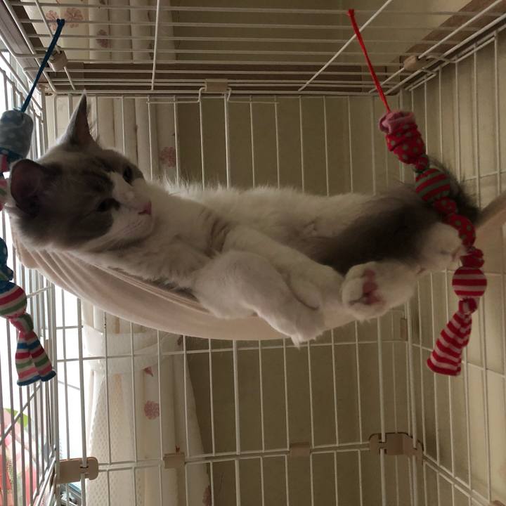 952cd5d5 be5e 4ea2 8ee9 85eca3ff9bc0 1565941428747