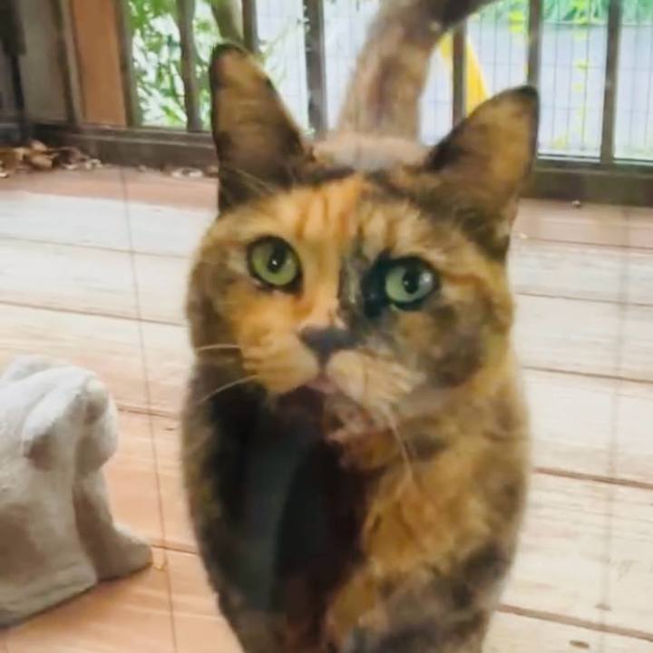 952cf036 814e 4292 9805 c2e9479d5855 1729935007349