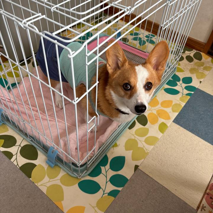 952d1083 439f 446b 818c 297b6c5bb208 1758071225122